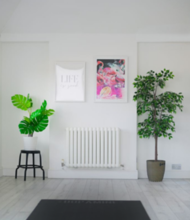 Lauren banner background image